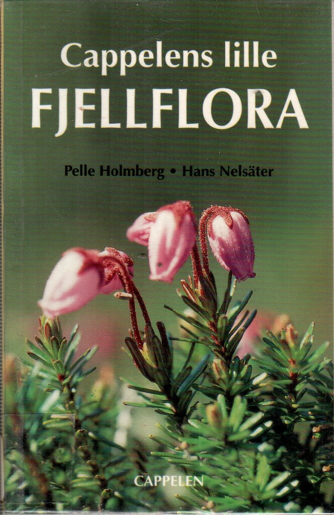 Forsidebilde