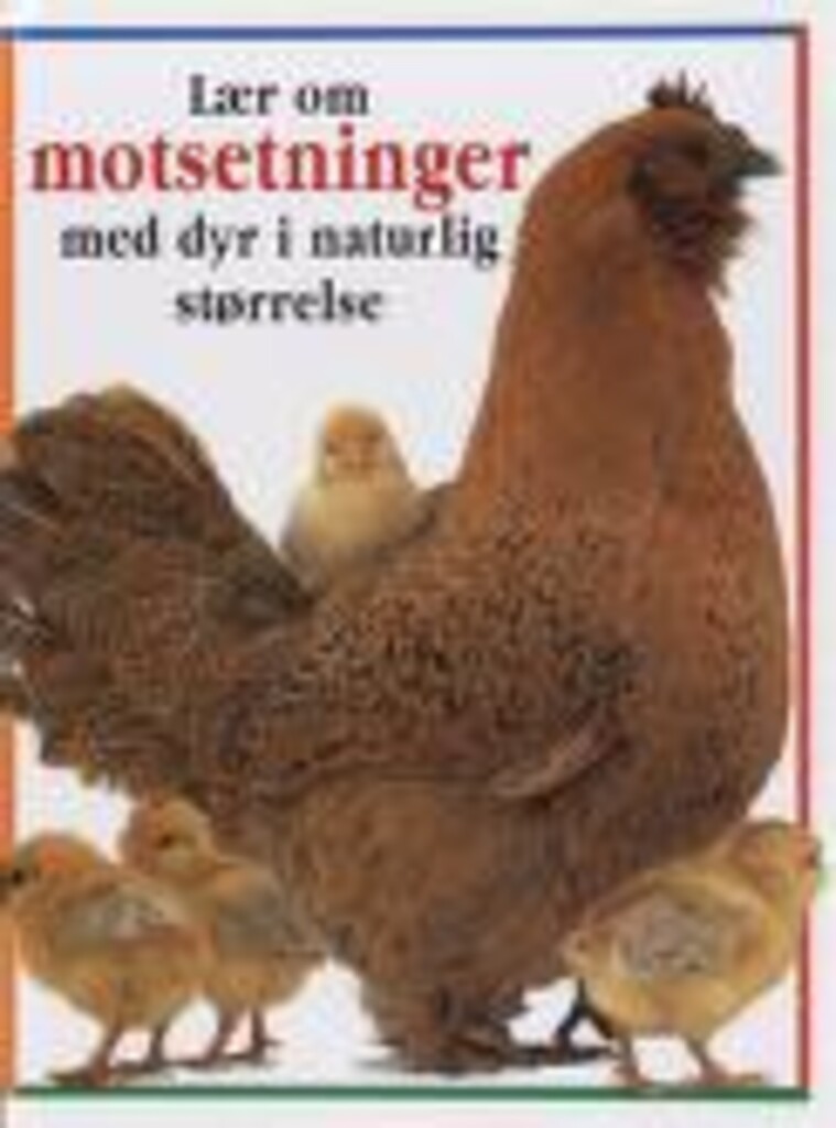 Forsidebilde