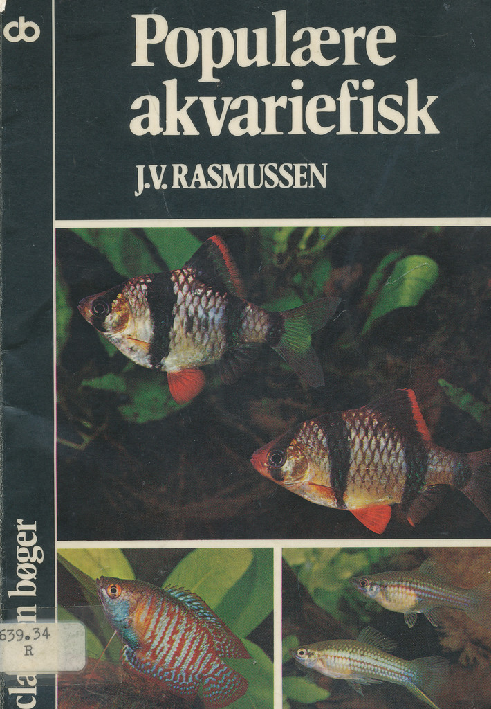 Forsidebilde