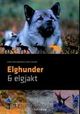 Omslagsbilde