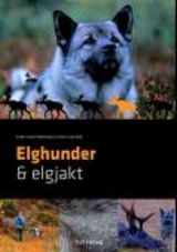 Omslagsbilde