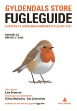 Forsidebilde