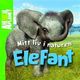 Cover photo:Elefant
