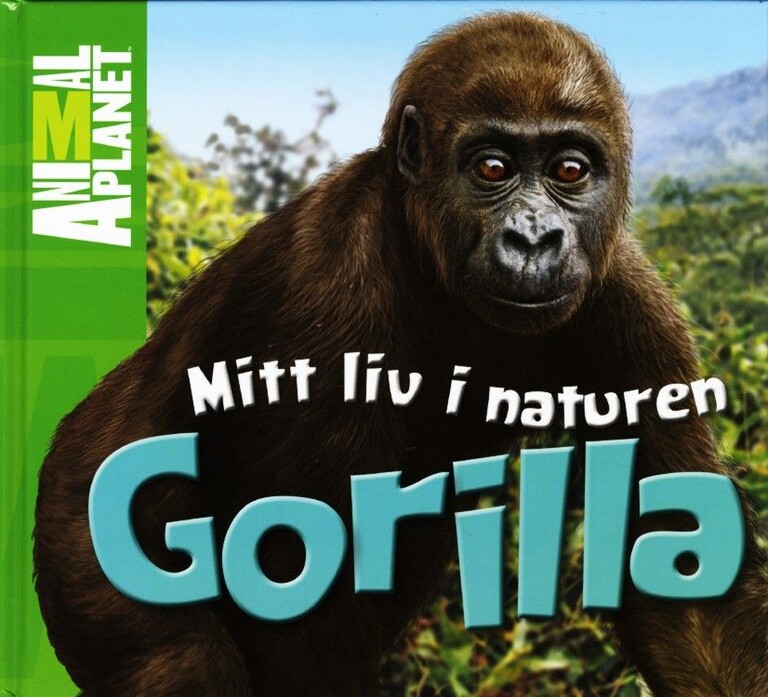 Forsidebilde