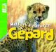 Omslagsbilde:Gepard