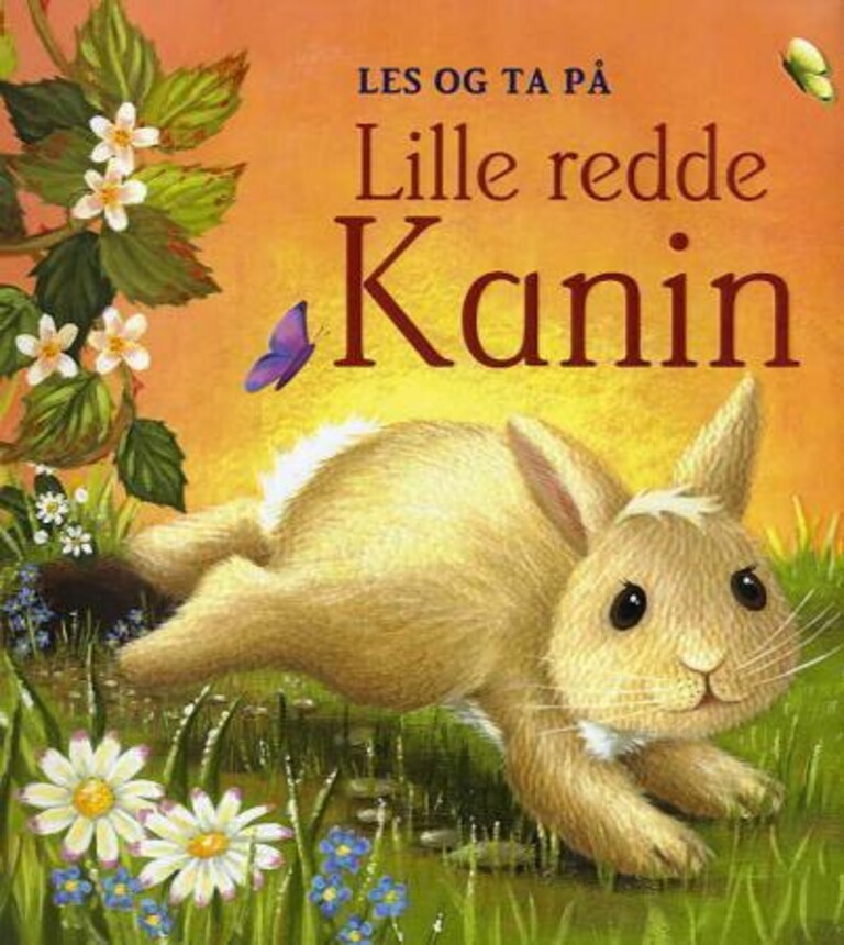 Forsidebilde