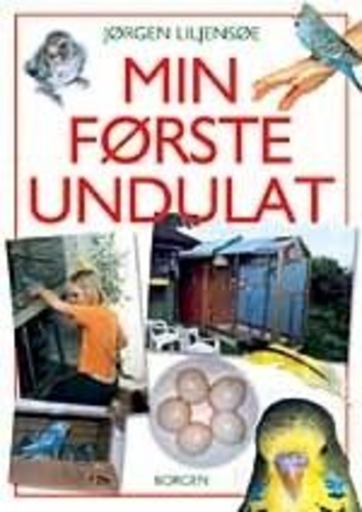 Forsidebilde