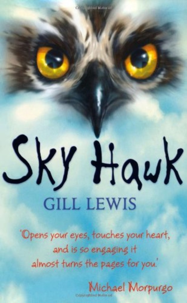 Sky hawk