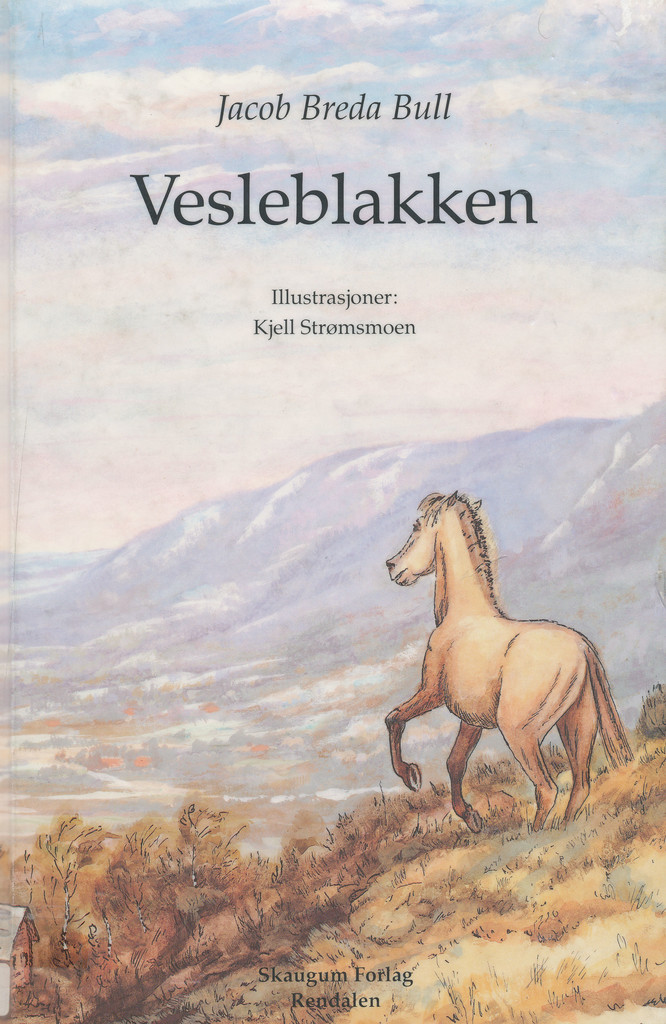 Forsidebilde