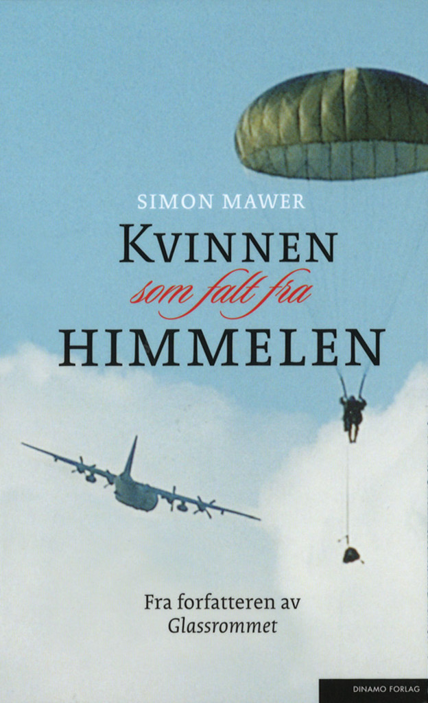 Kvinnen som falt fra himmelen