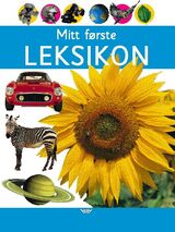 Forsidebilde