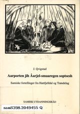 Forsidebilde