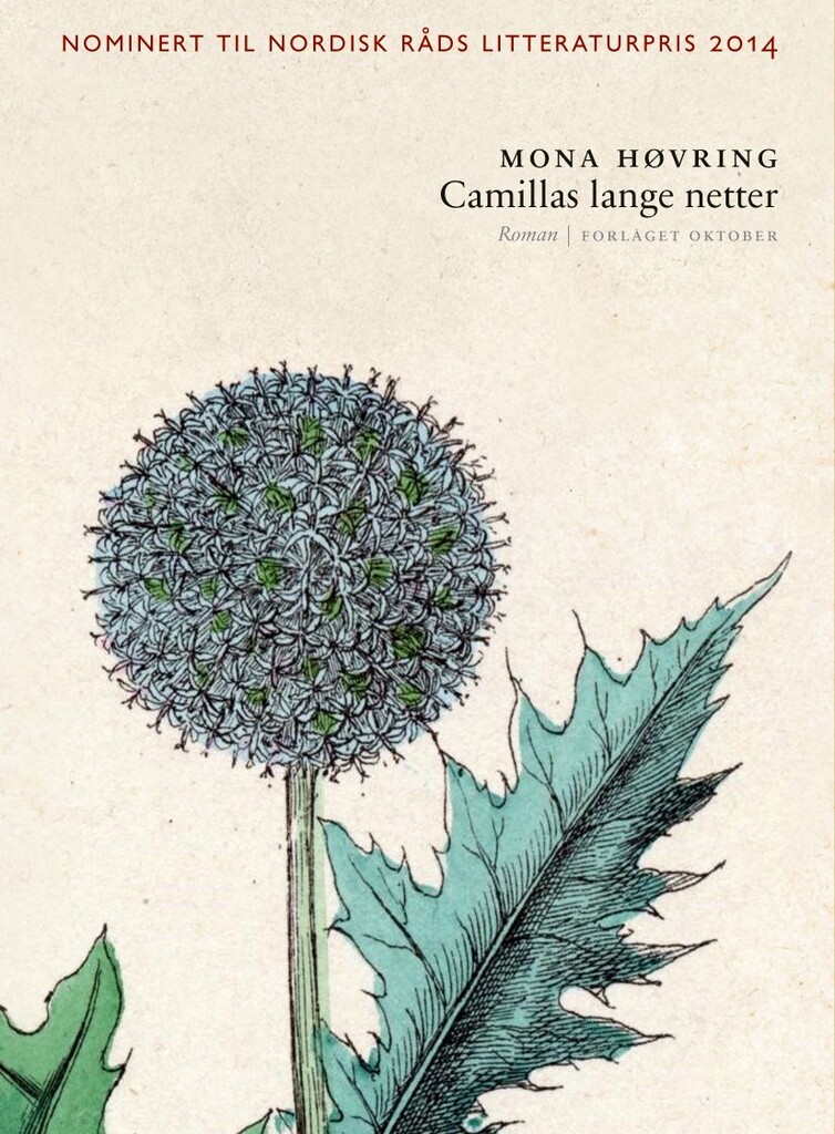 Camillas lange netter : roman