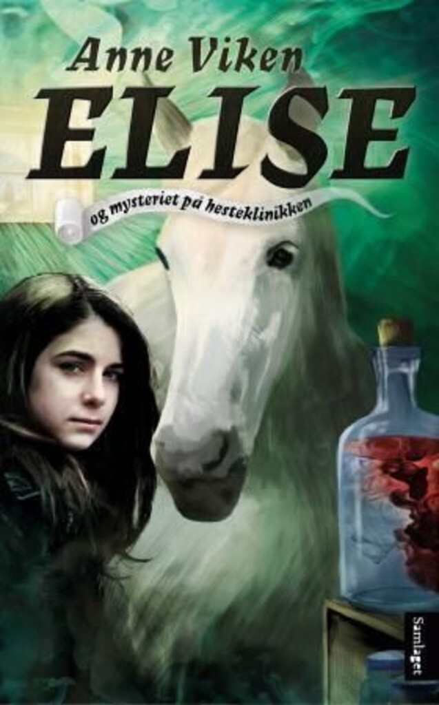 Elise og mysteriet på hesteklinikken : roman