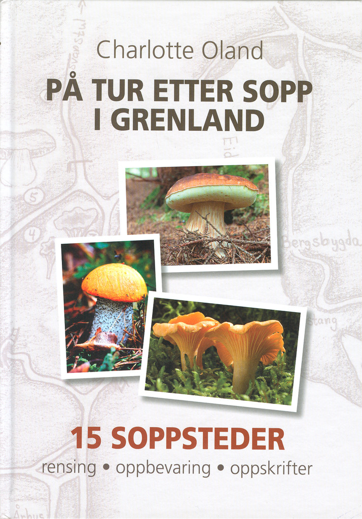 Forsidebilde