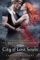 Omslagsbilde:City of lost souls