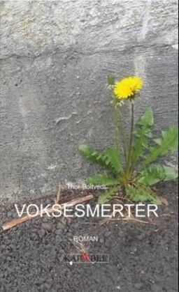 forsidebilde - trykk for å vise stor versjon