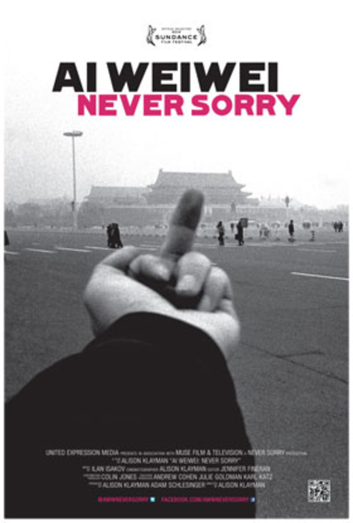 Ai Weiwei : never sorry