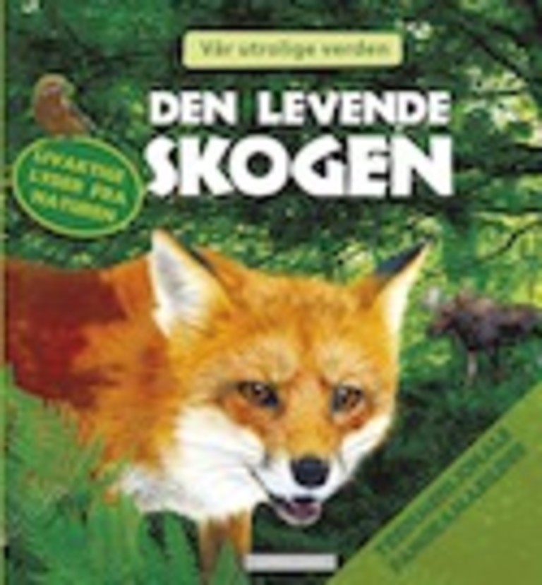 Forsidebilde