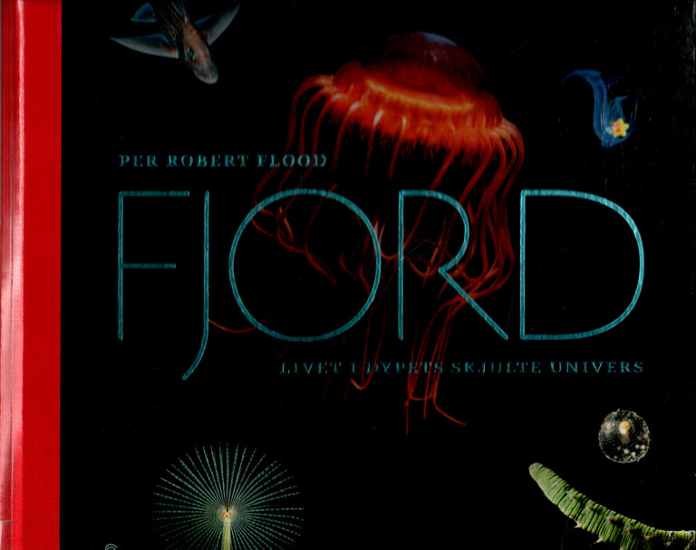 Forsidebilde