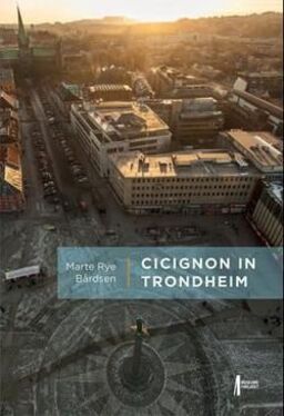 forsidebilde - trykk for å vise stor versjon