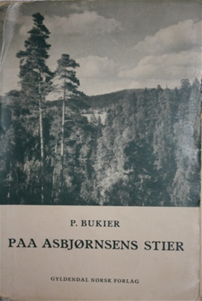 Forsidebilde