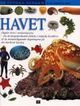 Cover photo:Havet