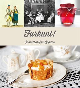 forsidebilde - trykk for å vise stor versjon