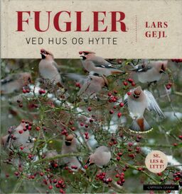 forsidebilde - trykk for å vise stor versjon