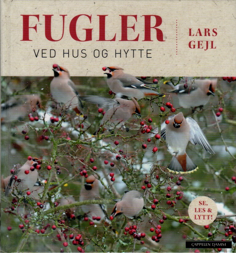Forsidebilde