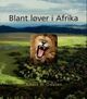 Cover photo:Blant løver i Afrika
