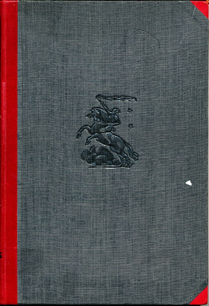 Forsidebilde