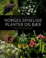 Omslagsbilde