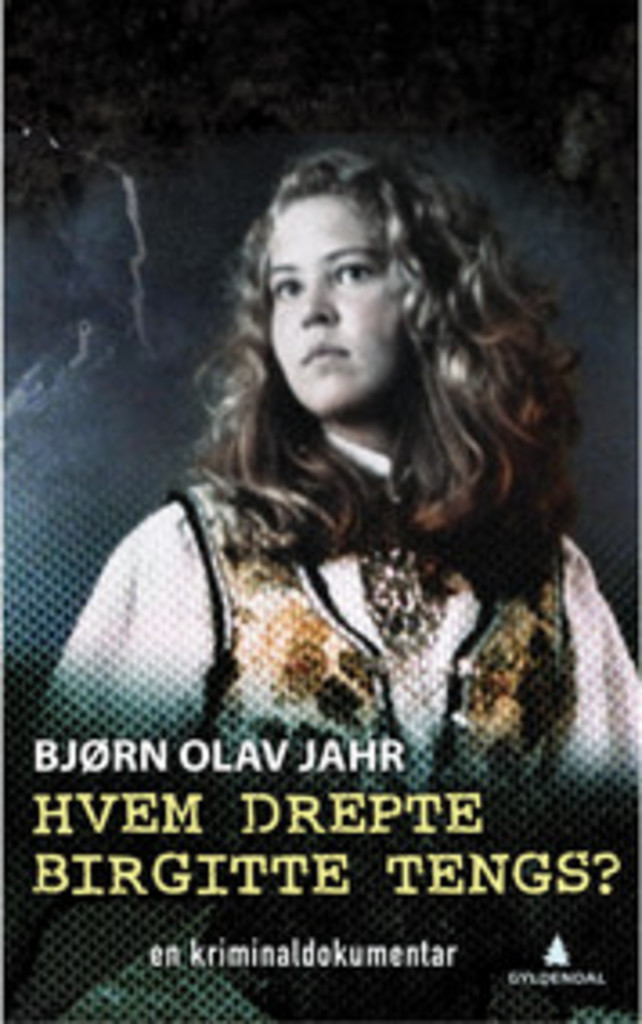 Hvem drepte Birgitte Tengs? : en kriminaldokumentar