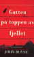 Omslagsbilde:Gutten på toppen av fjellet