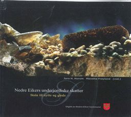 forsidebilde - trykk for å vise stor versjon