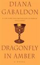 Cover photo:Dragonfly in amber