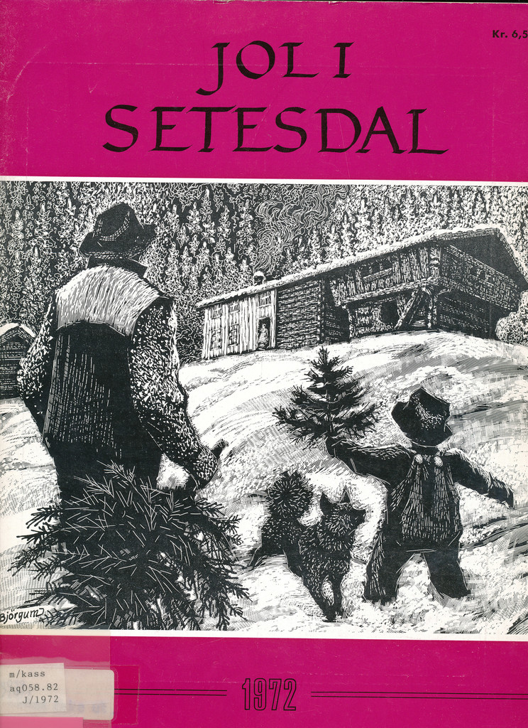 Forsidebilde