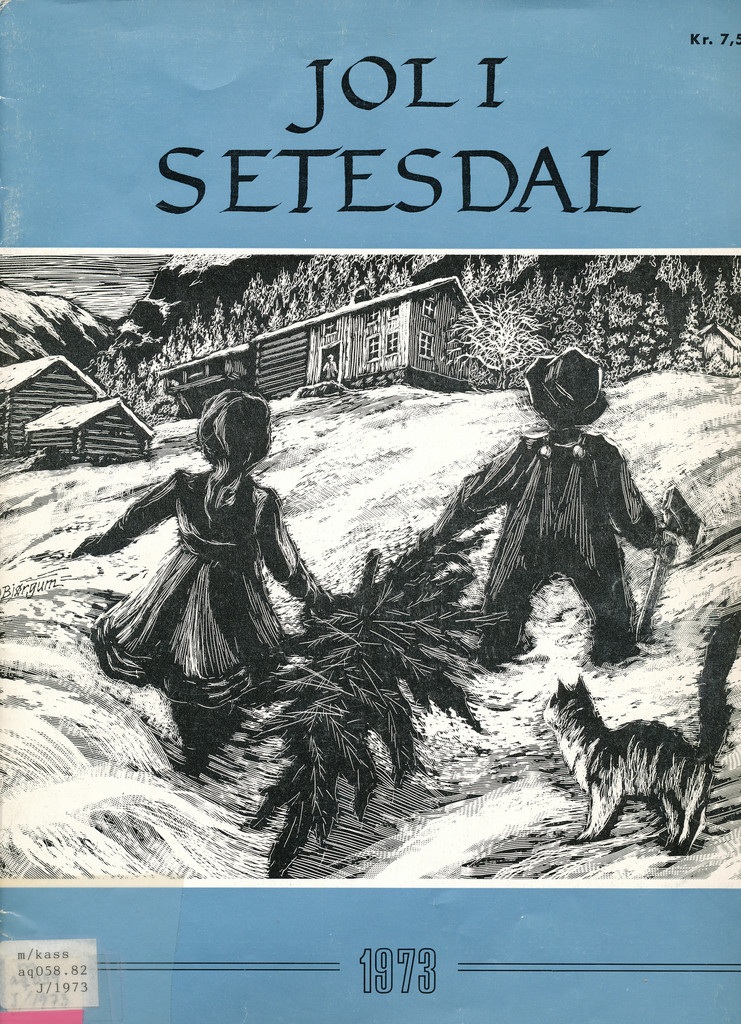 Forsidebilde