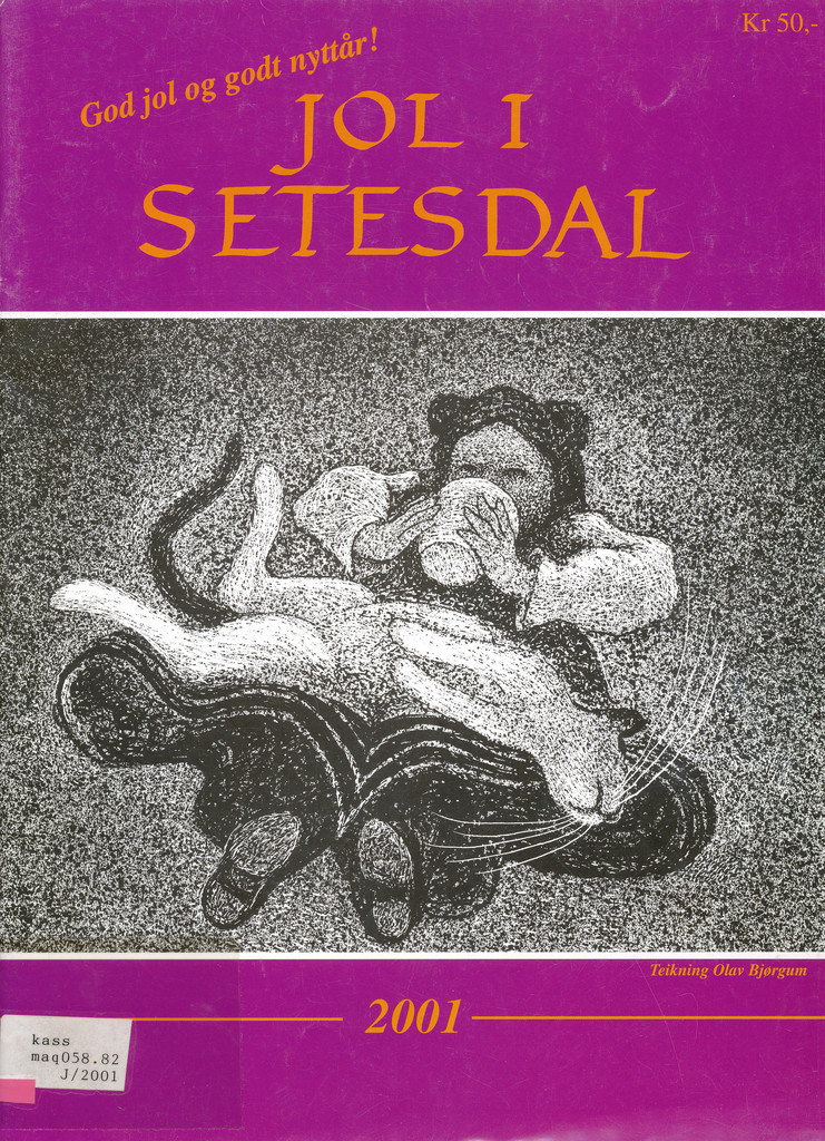 Forsidebilde