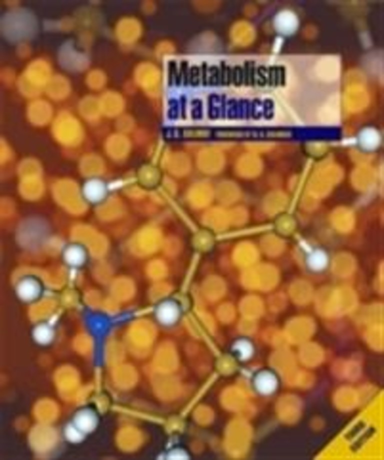 Metabolism at a glance