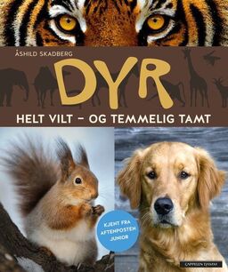 forsidebilde - trykk for å vise stor versjon