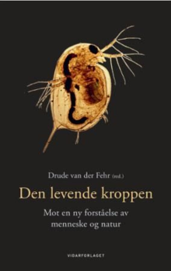 Forsidebilde