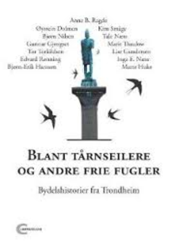 Blant tårnseilere og andre frie fugler - bydelshistorier fra Trondheim