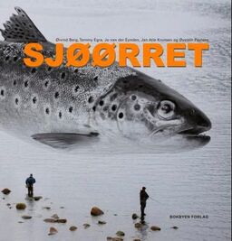 forsidebilde - trykk for å vise stor versjon