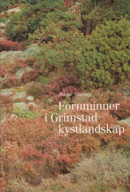 forsidebilde - trykk for å vise stor versjon