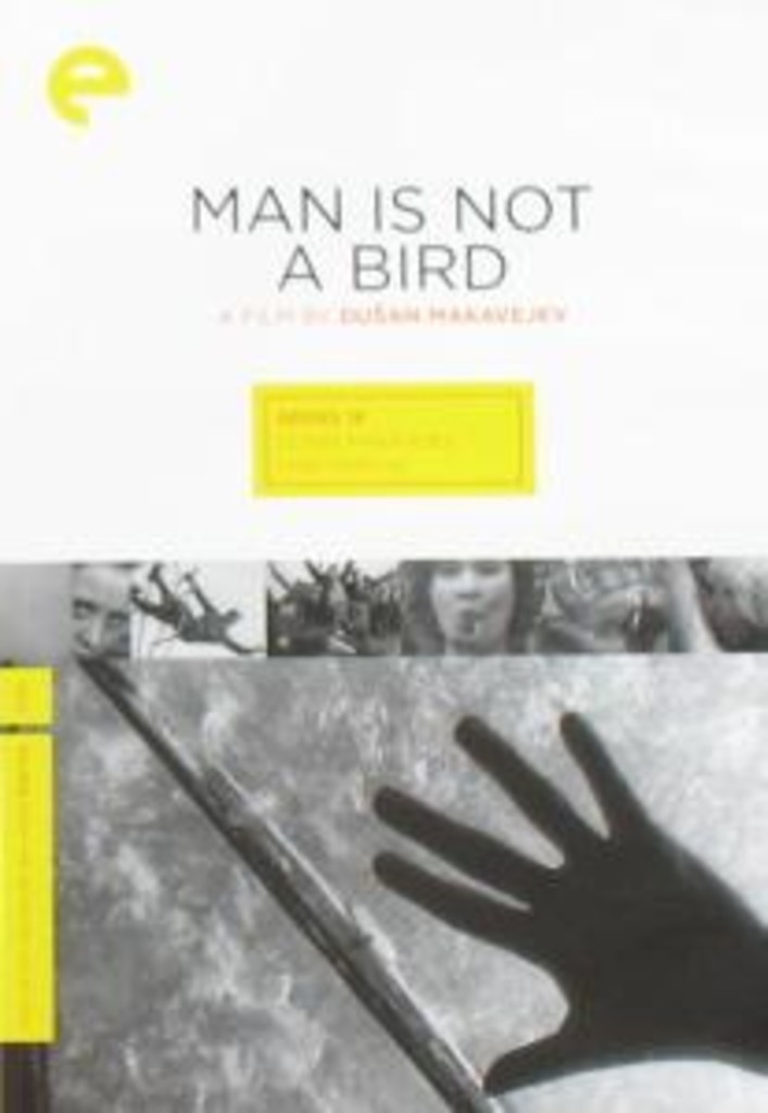 Man is not a bird