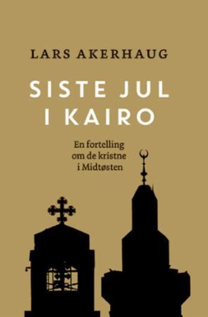 Siste jul i Kairo : En fortelling om de kristne i Midtøsten