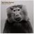 Omslagsbilde:Baboon moon