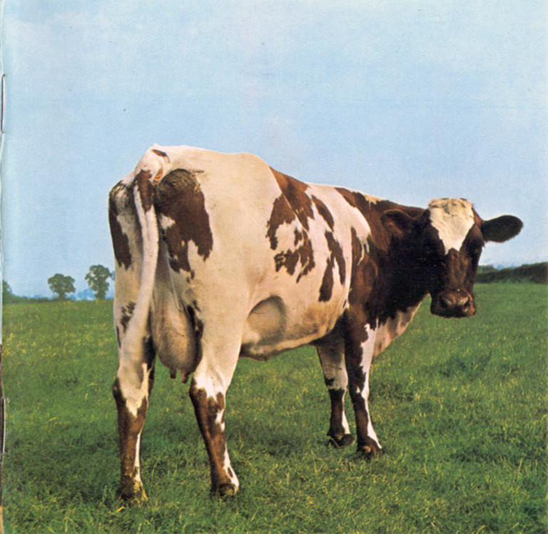 Atom heart mother